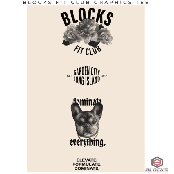 SOLD OUT: Blocks Fit Club Oversized Graphics Tee - Image 2